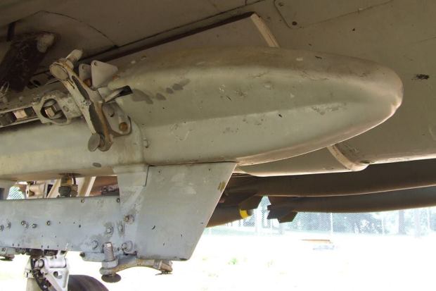 1517505_4111955134228_375931579_n